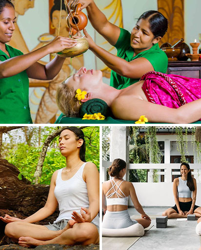 Wellness Retreats